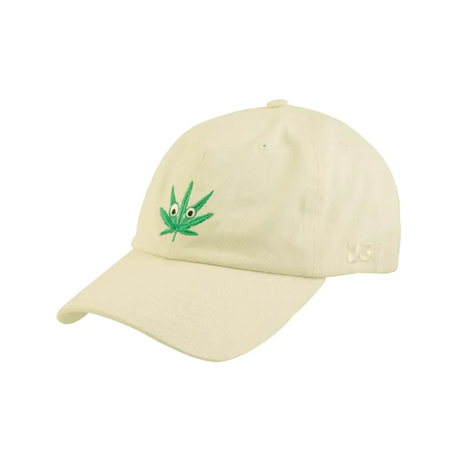 DGK Skateboards Garden Strapback Hat - Natural